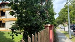 Ang Mo Kio Avenue 4 (D20), Semi-Detached #559011581